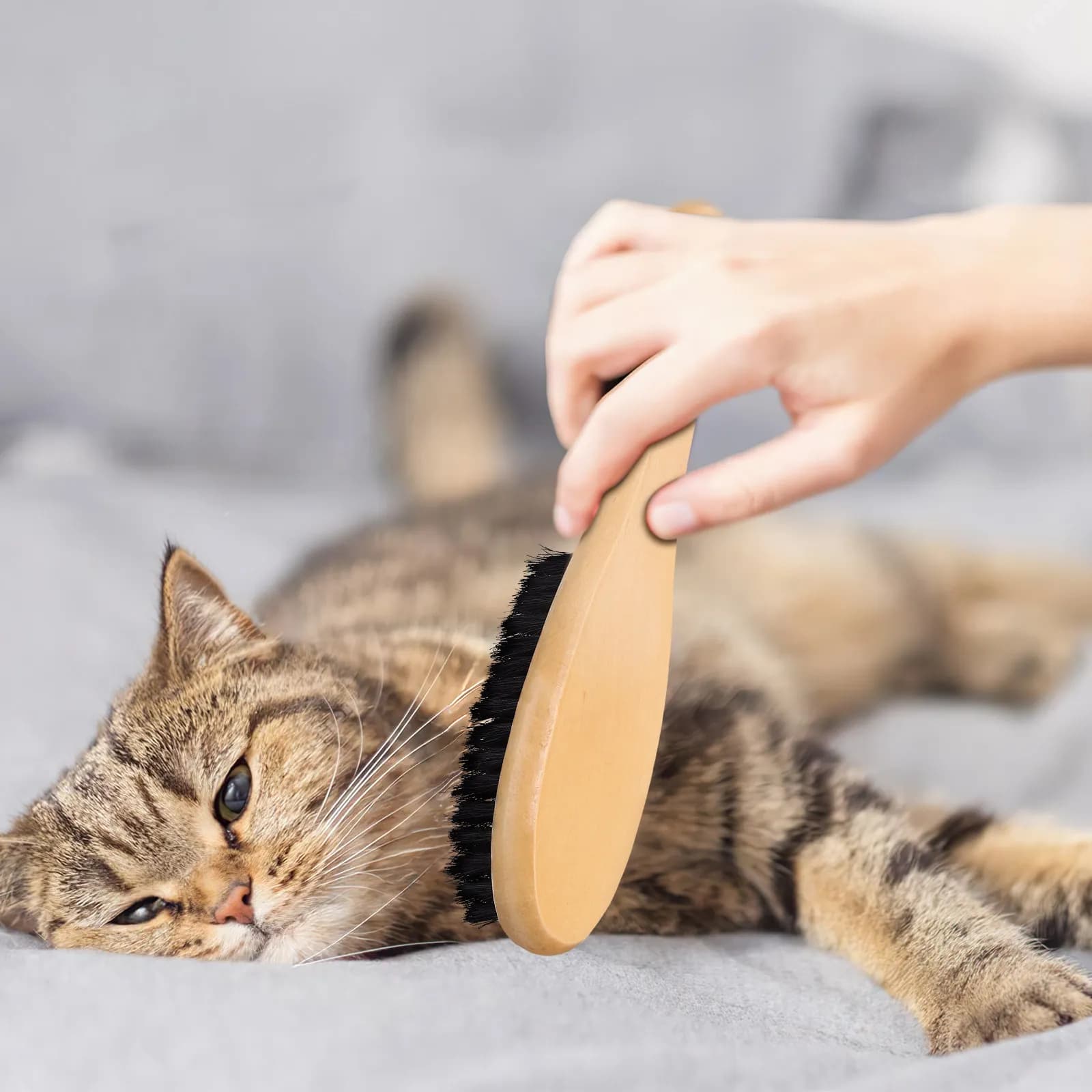 Spazzola con Manico in Legno e Setole di Cinghiale, Multiuso per Pulizia e Lucidatura di Scarpe, Vestiti, Rimozione Peli di Animali Domestici e Polvere