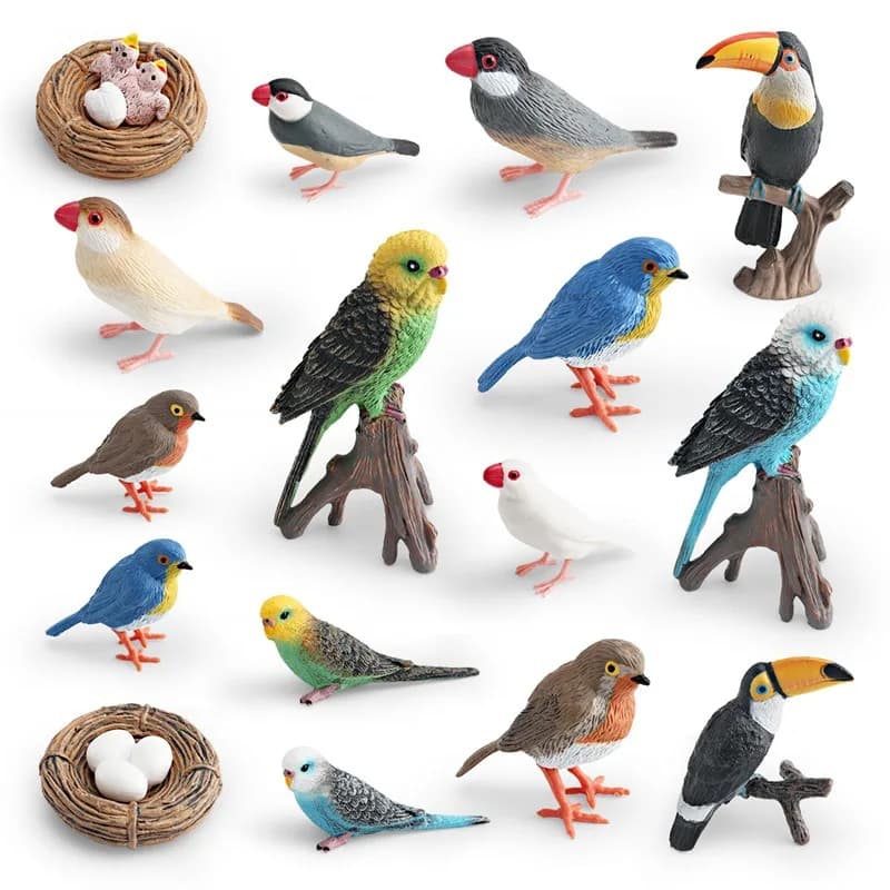 Set di 7 Modelli Realistici del Ciclo di Crescita degli Uccelli, Giocattoli Educativi per Bambini con Pappagalli, Cucchiaini, Cornoche, Giocattoli Statici di Animali