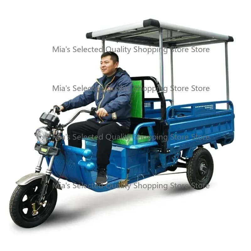 2025/3PLUSCOCO Triciclo Cinese Economico a 3 Ruote con Pannello Solare 500W EEC COC