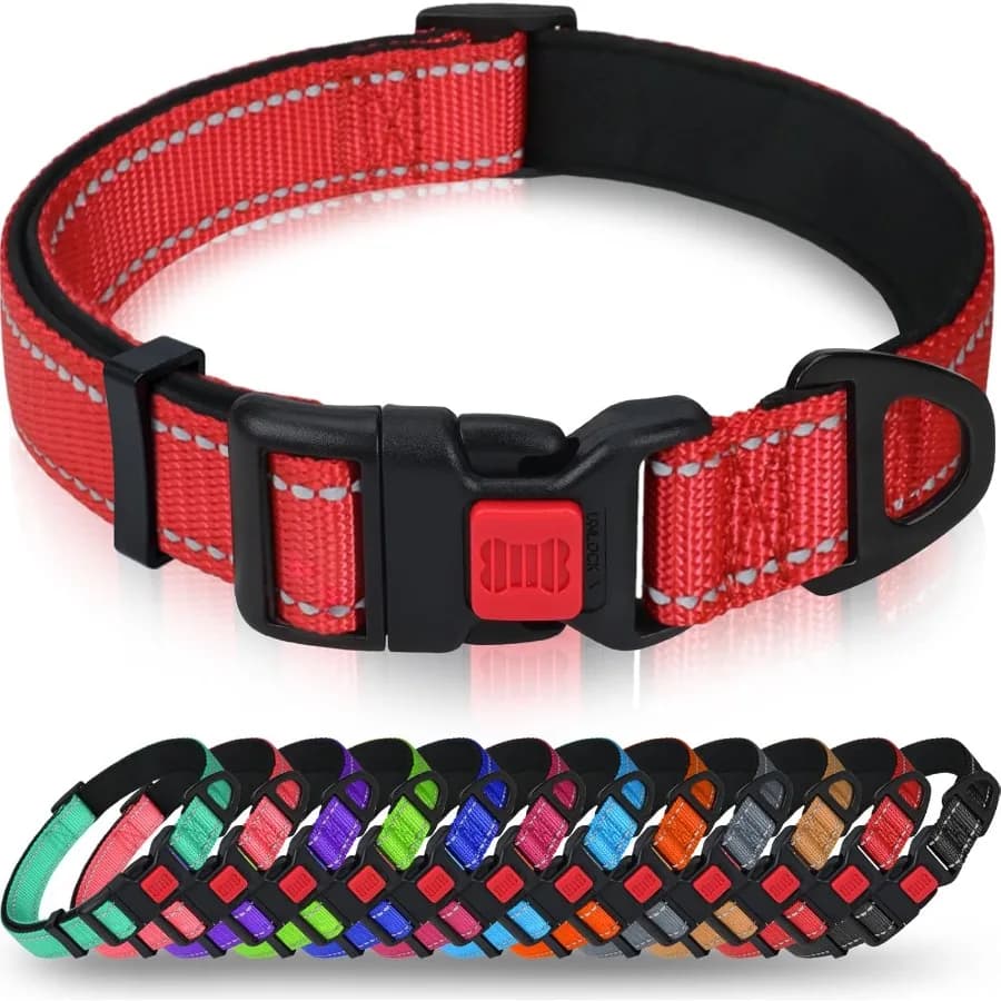 Collare per cani riflettente con fibbia di bloccaggio di sicurezza Collari per animali domestici in nylon regolabili per cani di taglia grande femmina maschio rosso L