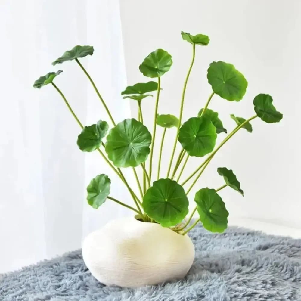 New Green Artificial Lotus Plants Decorative Floral Artificial Faux Plants Small Fake Lotus Leaves Fish Tank