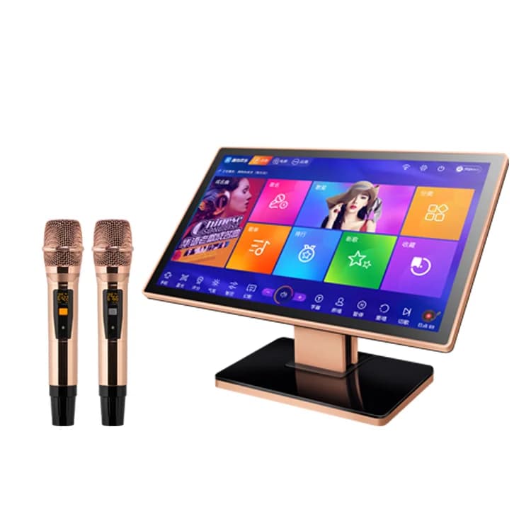 Inandon All-In-One Double System Karaoke Machine Wireless Microphone For Family Use