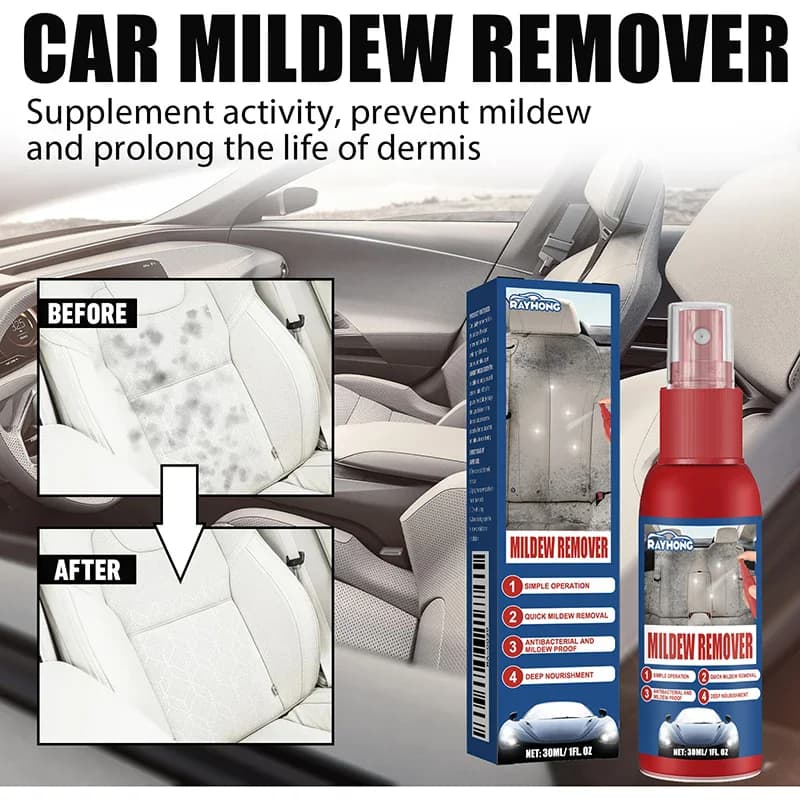 Detergente per interni auto, manutenzione e rimozione muffa, pulizia e rinnovamento di interni auto, sedili, tappetini e soffitti.