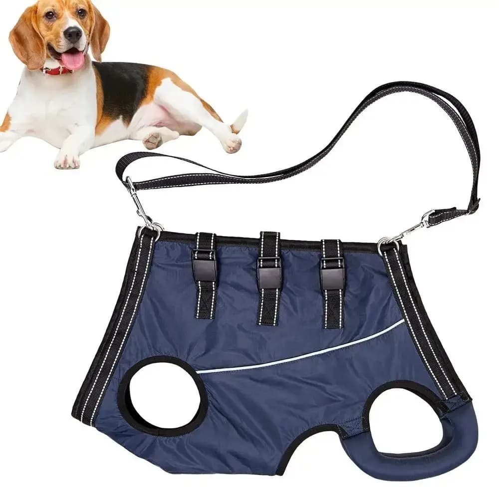 Supporto per le gambe Tutore per la schiena del cane regolabile di varie dimensioni Marsupio per cuccioli Cintura di assistenza per animali domestici Imbracatura per sollevamento per cani traspirante