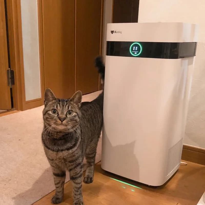 Airdog Forte purificazione Filtro riutilizzabile Purificatore d'aria Pulizia dell'aria della stanza degli animali domestici