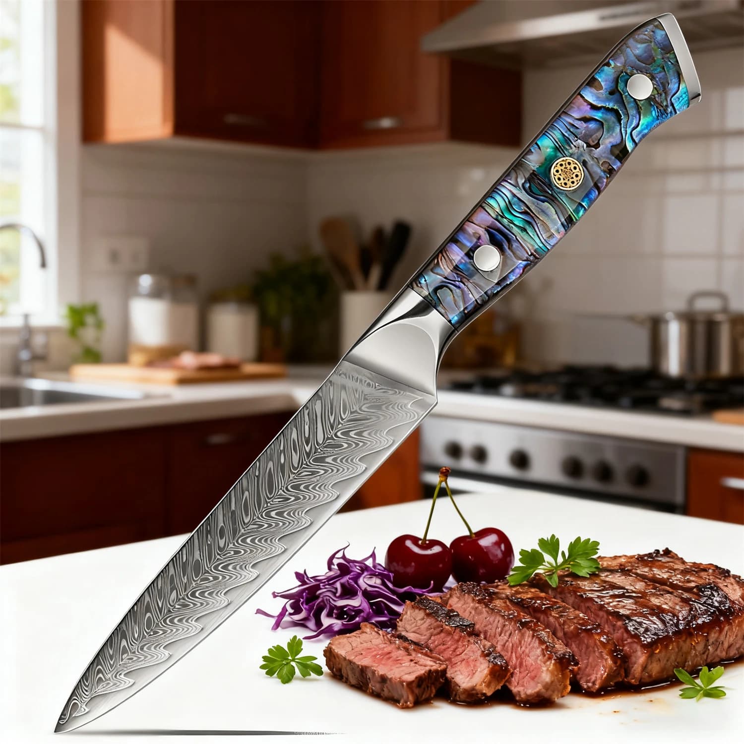 Coltello da cucina professionale Coltello da sbucciare Coltello da cucina in acciaio di Damasco a 67 strati Coltello da cucina affilato per chef Roba da cucina