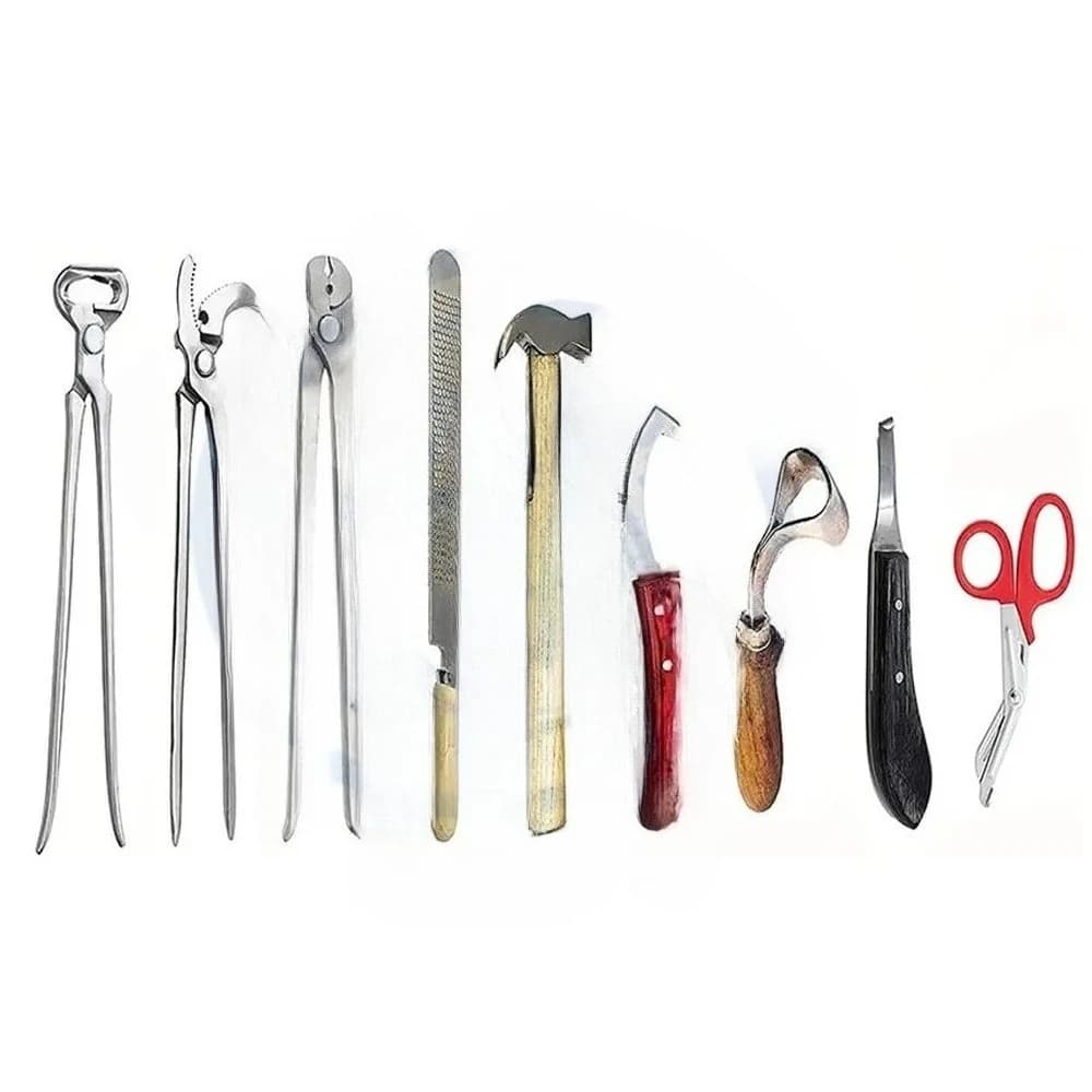 PROFESSIONAL Kit pinza per attrezzi per toelettatura per zoccoli per scarpe da cavallo da 8 pezzi con borsa in pelle STANDARD GERMAN BY DADDY D PRO