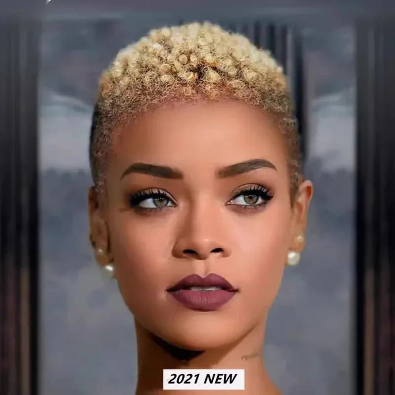 New Fashion Afro Kinky Synthetic Short For Black Women Rose Net Screw Curly Heat Resistant Fiber Wig Daily Use
