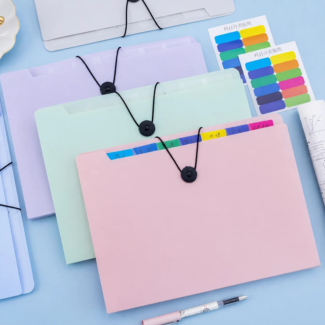 File Organizer Pp Plastic A4 Folder Document Organizer Waterproof Expanding Folder For Office Project Documents Exam Papers
