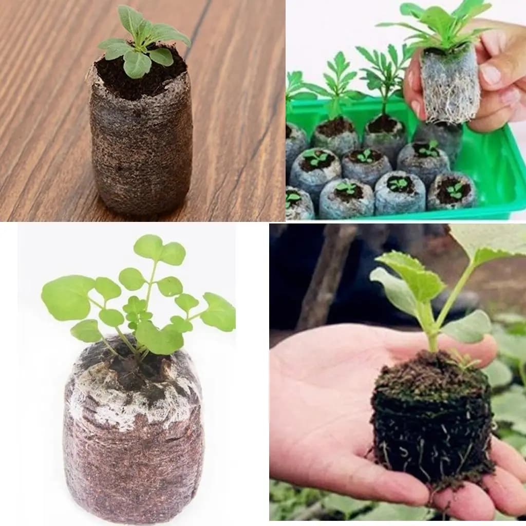 10 pcs 30 mm garden flowers plant land block round peat pellets semi-buckles starting pallets seedling land block ground ground nursery