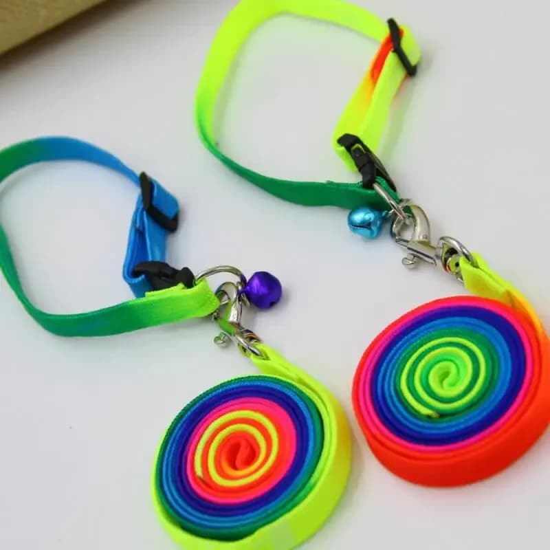 1pc collare e guinzaglio regolabili arcobaleno Nylon Pet gatto cucciolo di cane piombo addestramento quotidiano camminare guinzagli all'aperto con campana