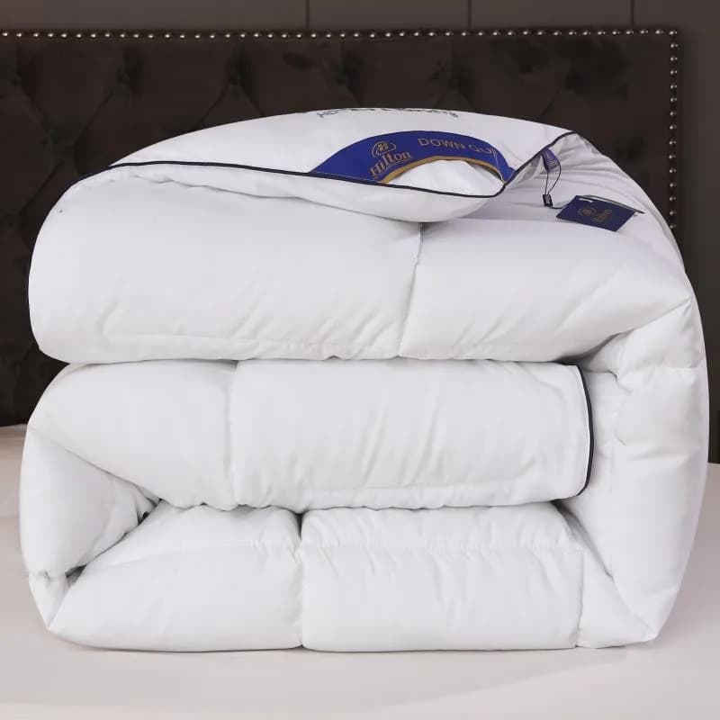 Trapunta per hotel Four Seasons, calda letto singolo, piuma, trapunta in velluto, trapunta per condizionatore d'aria, comoda coperta