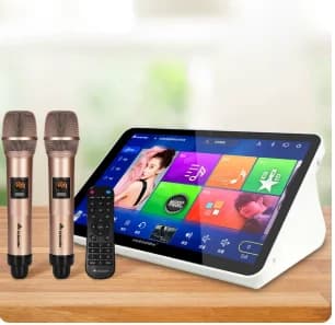 Touch Screen All-in-One Karaoke Machine with 4 Mic 5-in-1 Amplifier and Reverb for Home Use