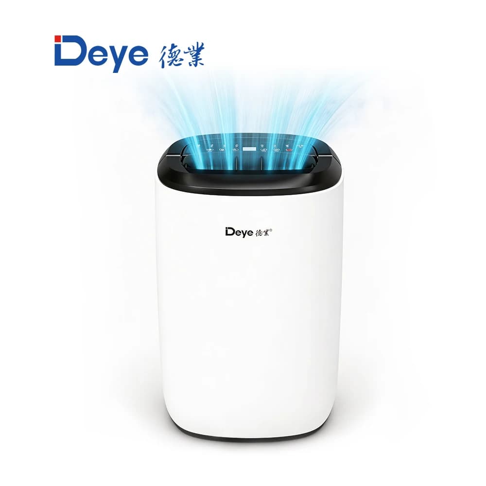 Deumidificatore elettronico DYD-S12C con filtro dell'aria, purificatore d'aria da 12 litri, piccolo deumidificatore domestico per cucina