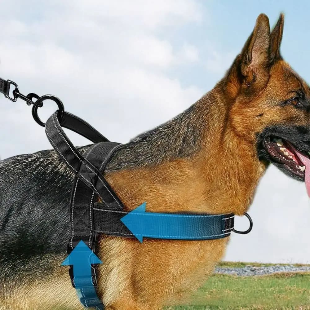 Pettorina in nylon per cani con strisce riflettenti, regolabile, resistente all'usura e anti-esplosione