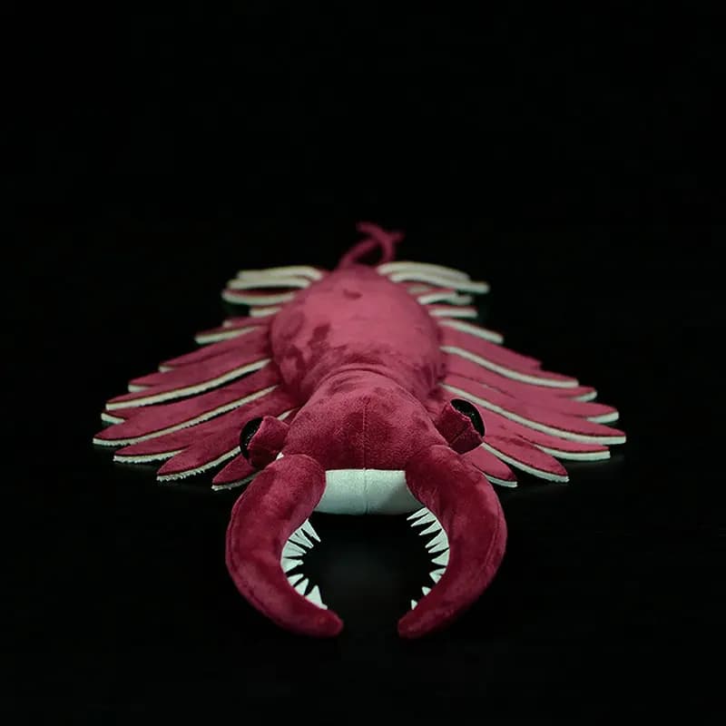 53X33CM Anomalocaris Plush Toy Simulation Shovel-shaped Shrimp Original Paleontology Series Sea Creatures Model Doll Girls Gifts