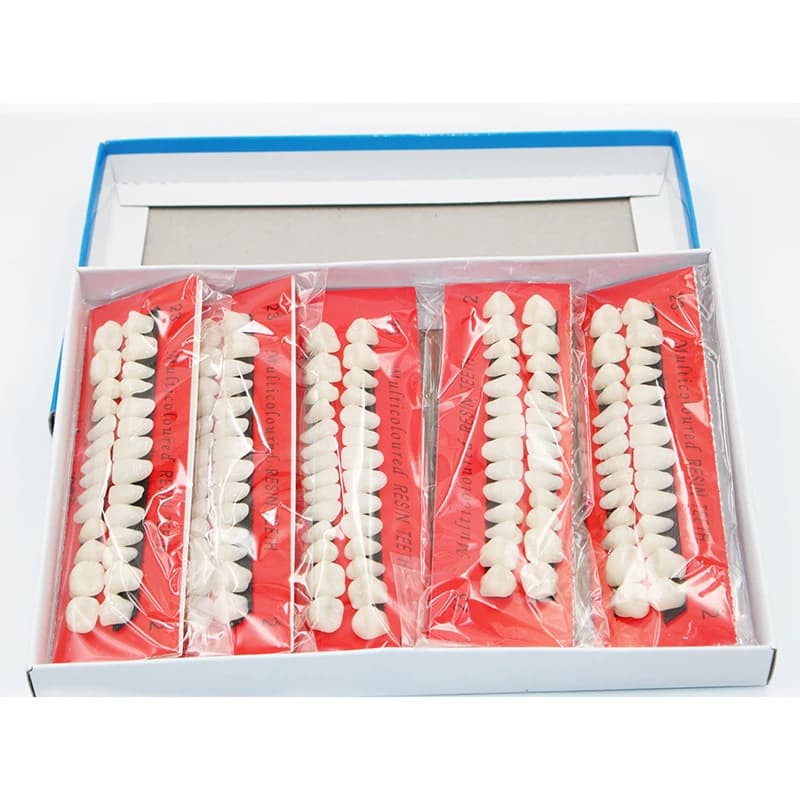 10 set di modelli didattici in plastica per odontoiatria, denti dedicati per la cura dei denti, strumenti per dentisti, tipo A2