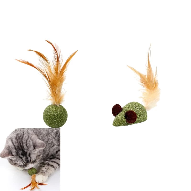 Pallina di Catnip con Piume per Gatti, Giocattolo Autopulente per la Pulizia dei Denti, Pallina alla Menta, Accessorio Interattivo Essenziale per il Gioco dei Gattini