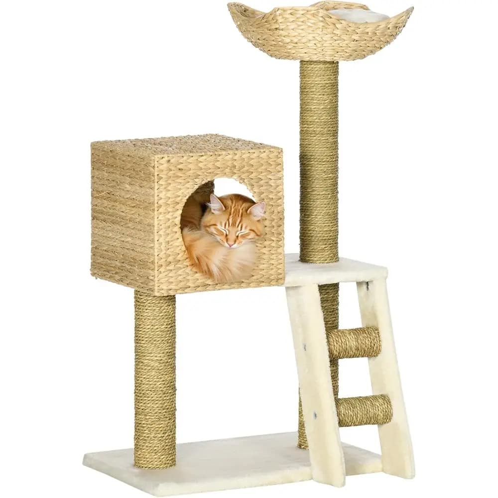 Cattail Weave Albero per gatti o Torre per gatti da interno con Cuccia in rattan, Letto in vimini, Scala, Cuscini lavabili, 22.5" x 14.5" x