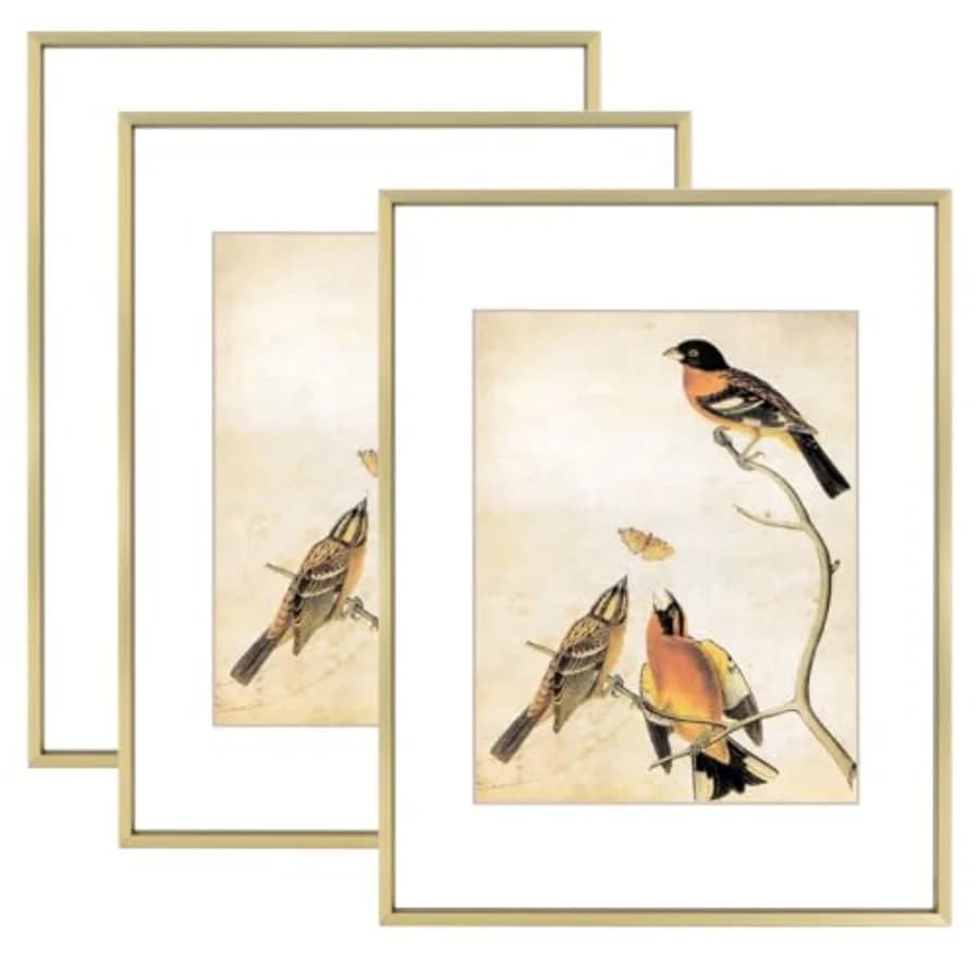 Set di 3 cornici per foto 11x14 in ottone con vetro HD, adatte per foto 8x10 con passepartout o 11x14 senza passepartout, da appendere a parete.