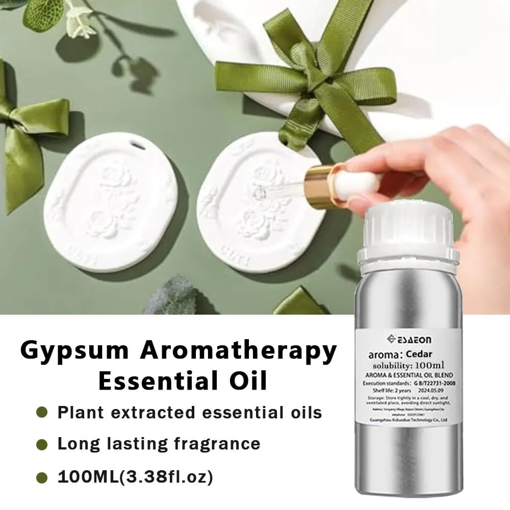 ESAEON 100ml - Olio essenziale per aromaterapia al gesso, liquido integratore diffusore, per pietra profumata per auto e gesso pensile per guardaroba