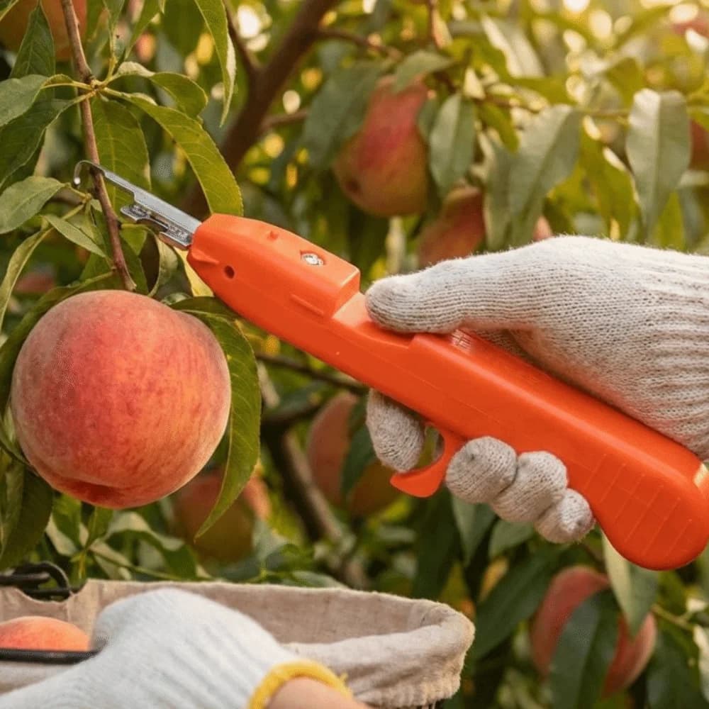 Attrezzo Portatile per Raccolta Bacche, Forbici Ergonomiche Resistenti per Raccolta Frutta, Anti-Graffio e Anti-Perforazione, Cesoie per Rami di Fiori da Giardino