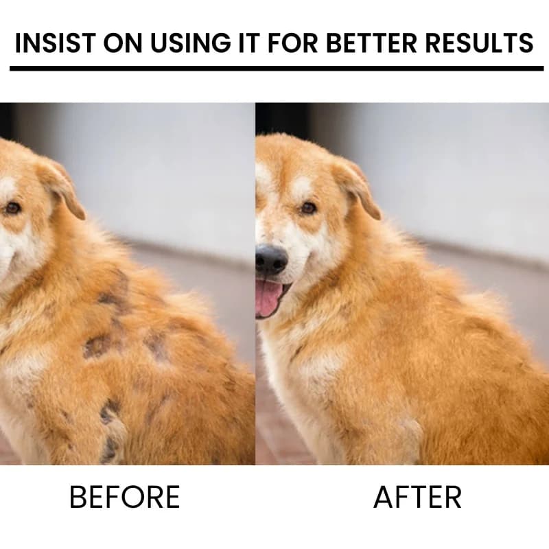 Pet hair enhancer cat and dog hair conditioning e repair wavy hair pilons spray per la cura della caduta dei capelli