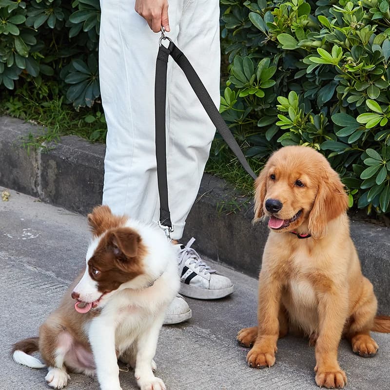 Guinzagli doppi per cani da passeggio, guinzaglio doppio per animali domestici, 360 girevole, senza grovigli, corda, cintura per guinzaglio da esterno barboncino, 2 in 1