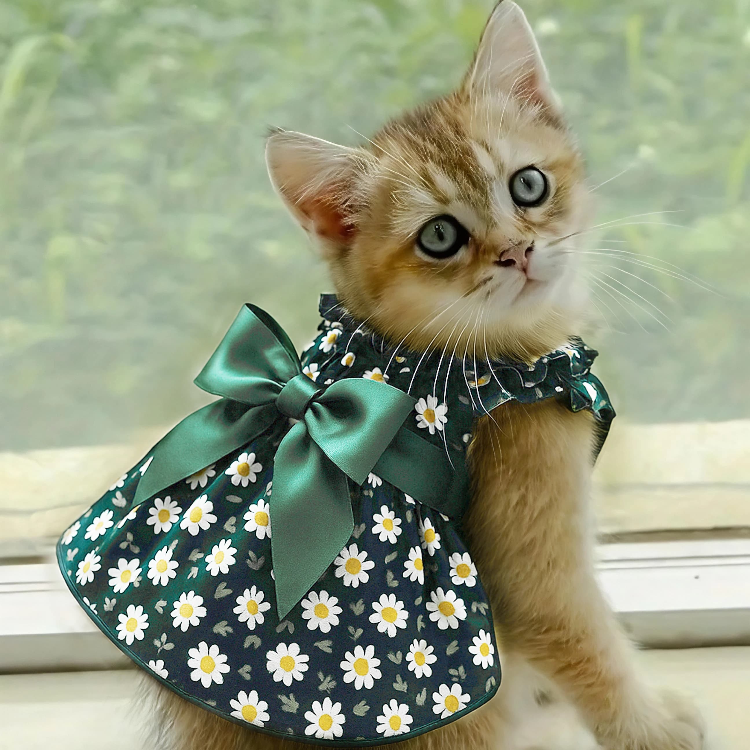 Abito Estivo per Cani e Gatti, Senza Maniche, Stile Principessa con Fiori Ciano, per Chihuahua e Bichon