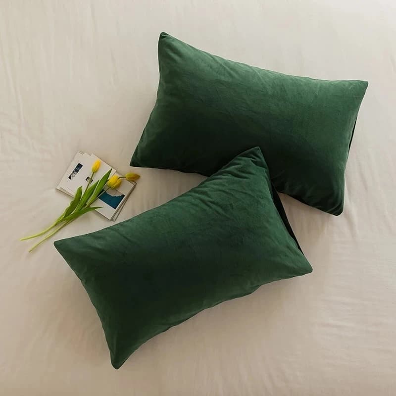 Soft Velvet pillow lining Scottish for living sofa 30x50 cm Nordic pillow lining for home decoration