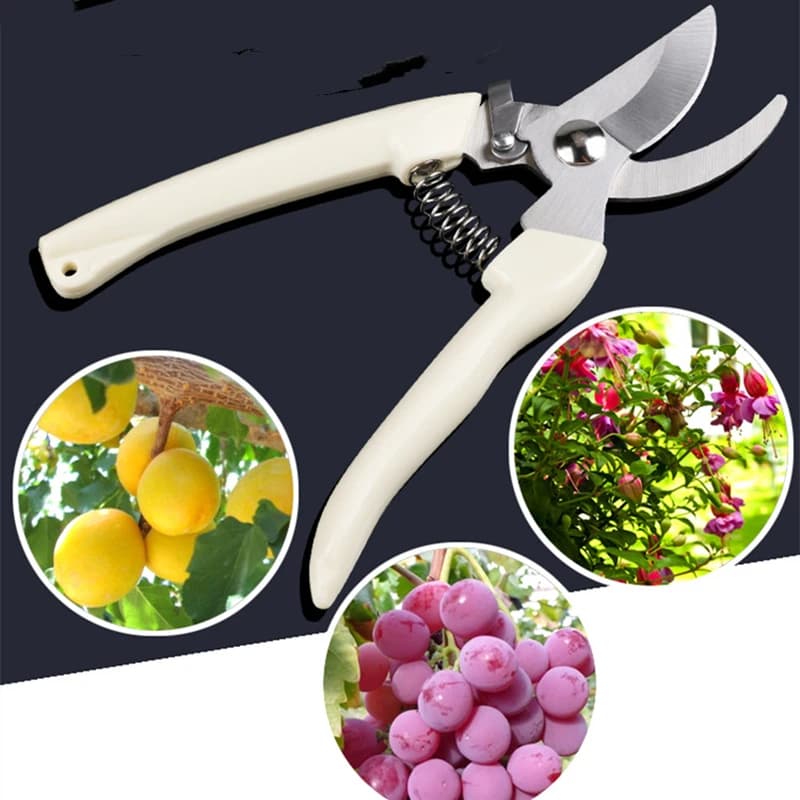 Professional shears for pruning, hand tools for garden and orchard, bonsai shears, garden shears, pruning shears, shears