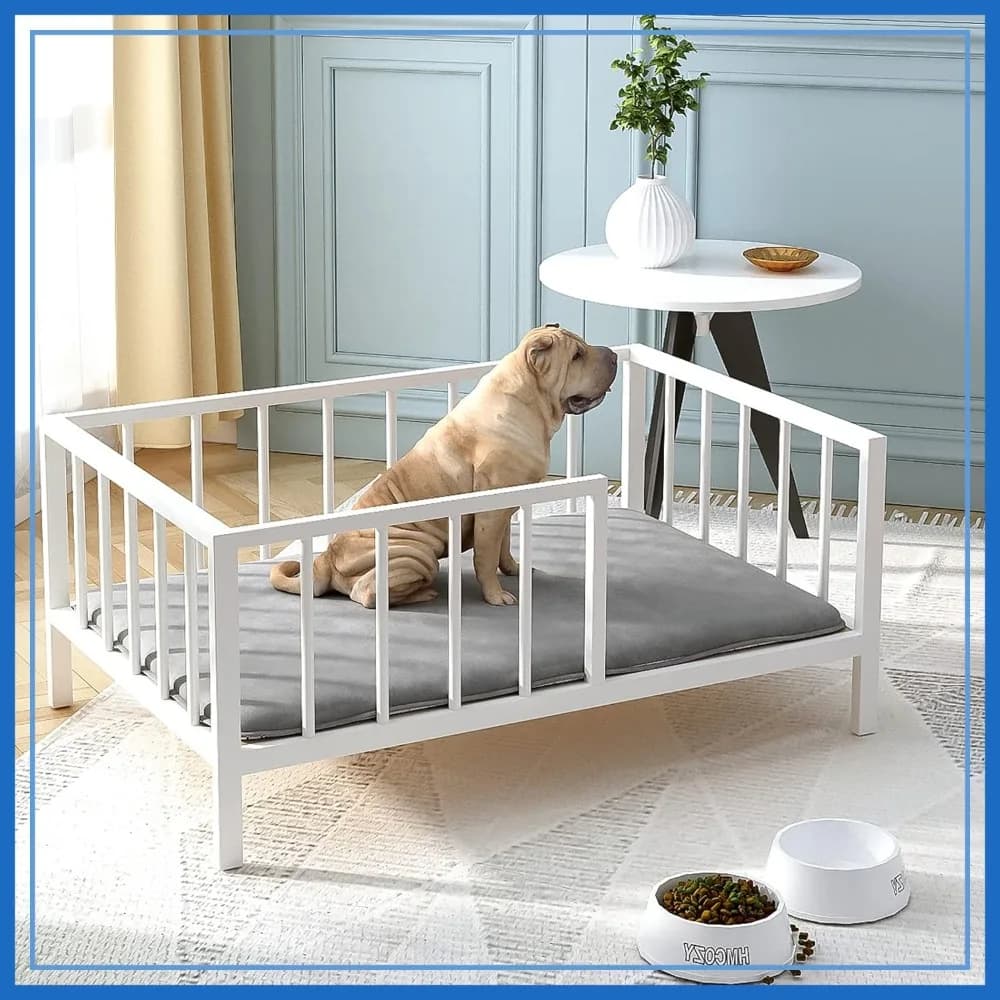 Cuccia rialzata per cani con sponde, telaio in metallo e piano in legno massello, tappetino morbido lavabile, 64x96 cm, bianca, per interni/esterni