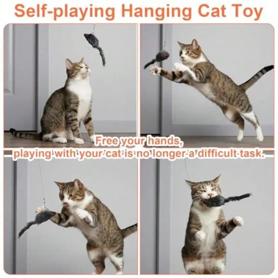 3 PCS Door Hanging Cat Toy With Retractable Faux Fur Mouse String For Adult Cats