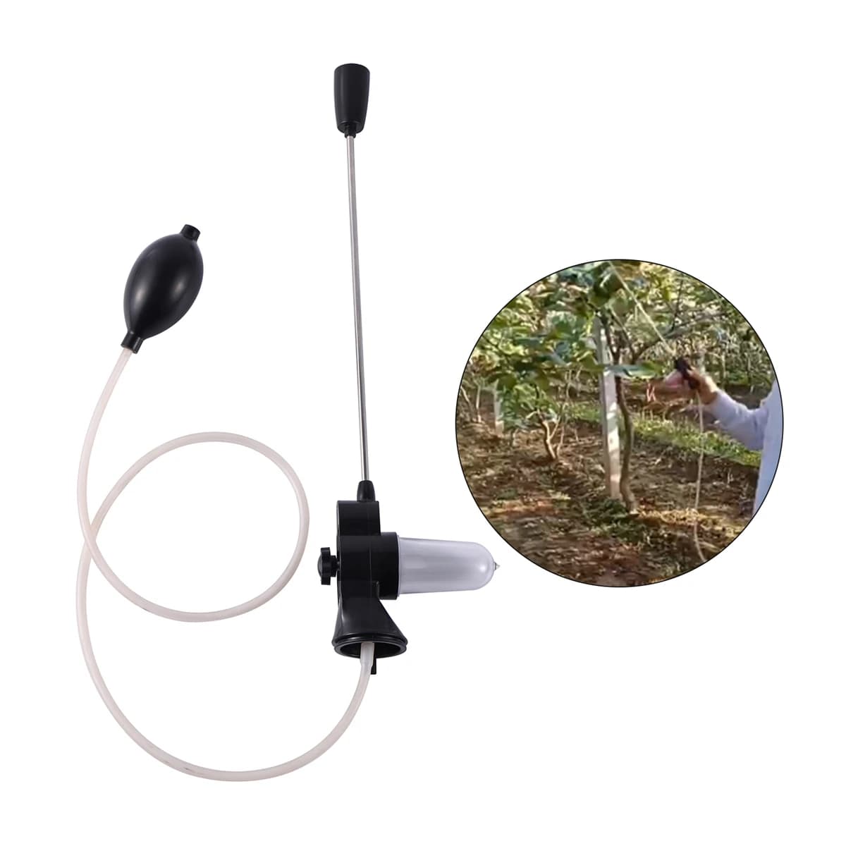 Asta telescopica Polline Pollinator Spruzzatore manuale per polline Pomodoro Peach Tree Pera Kiwi Pianta Frutta Fiore Macchina per la pollinazione