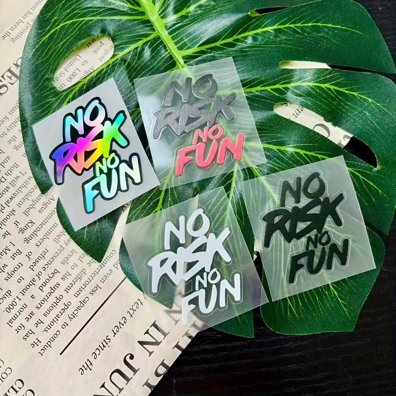 Set of 2 Bike Stickers "No Risk No Fun" Waterproof Vinyl Stickers for Helmet, Tank, Scooter and Bike