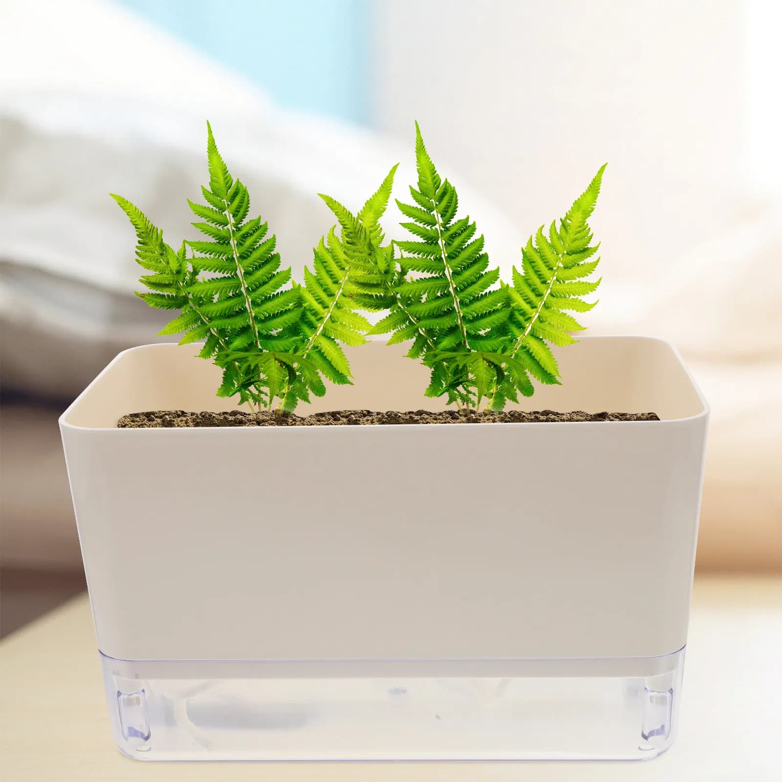 Vaso Autoirrigante Automatico, Fioriera Autoadesiva Idratante, Vaso in Plastica con Design Rimovibile per Casa e Giardino
