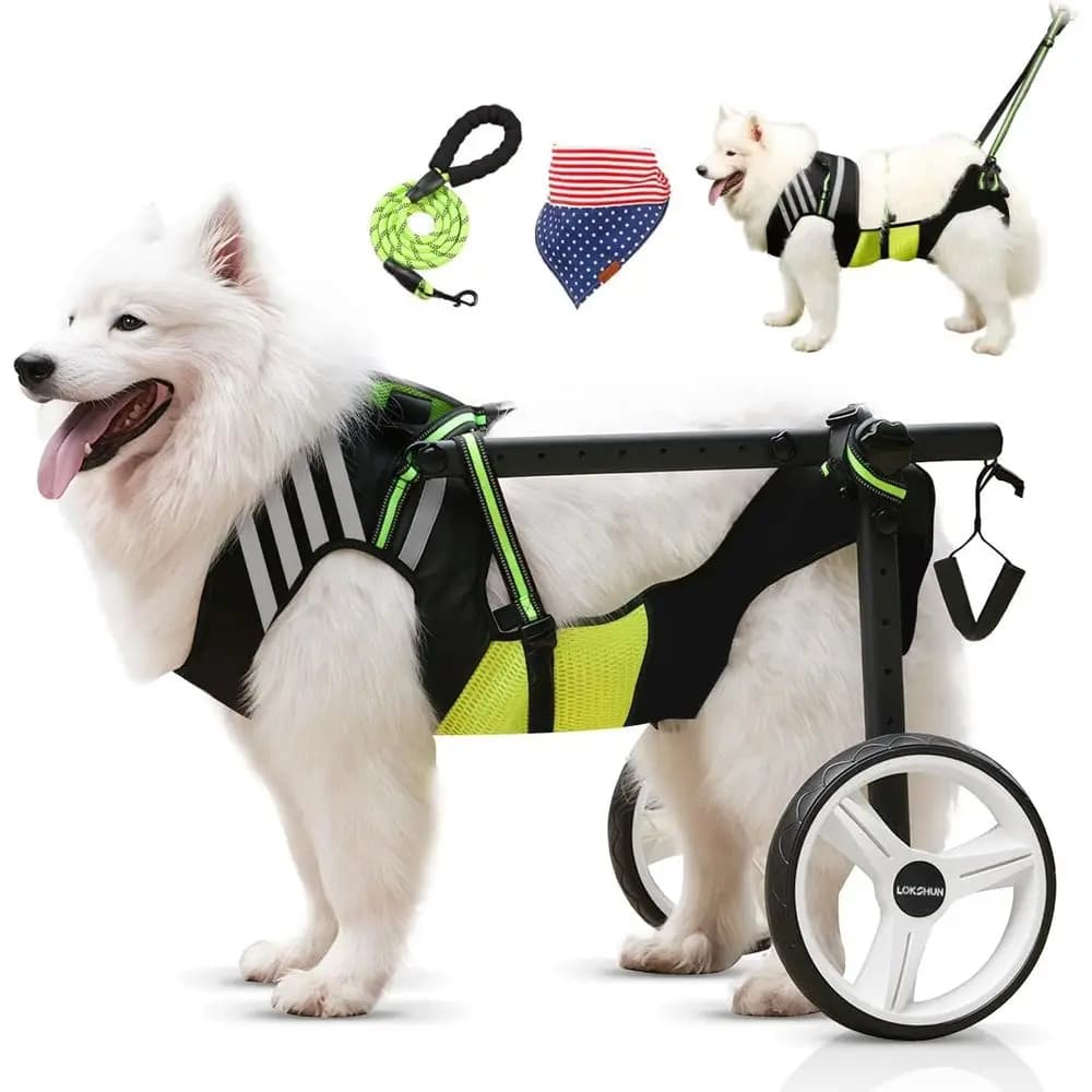 Sedia a rotelle impermeabile regolabile per cani di taglia grande e piccola con luci a LED, guinzaglio e ruote regolabili ad angolo per disabili B