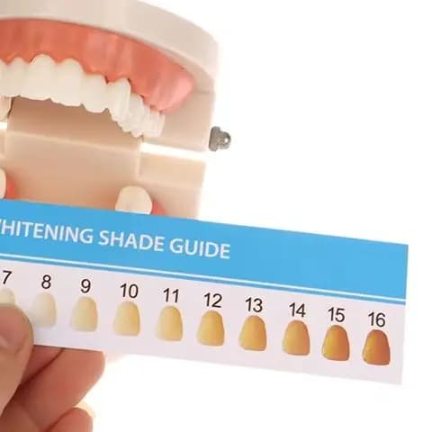 5pcs 16 Colors Cold Light Teeth Whitening Color Palette Card Comparison Card Contrast Supplies Shade Dental Color Chart