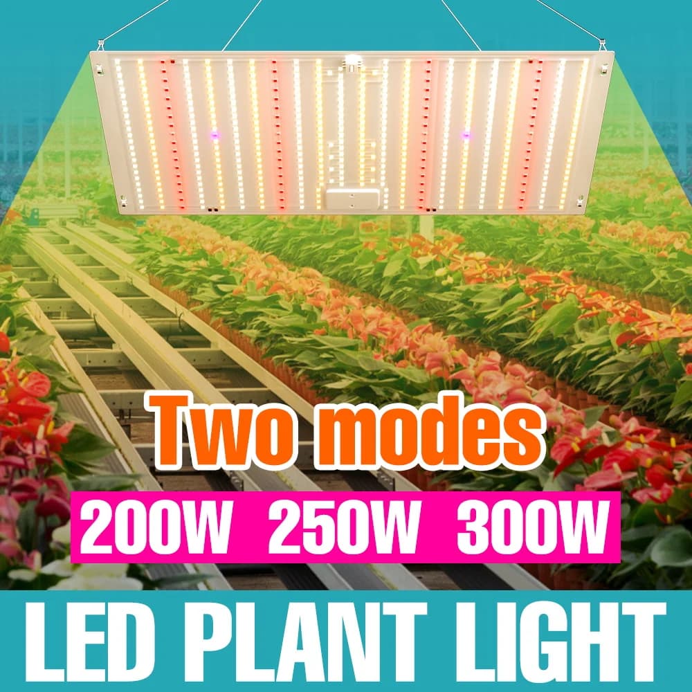 Lampada LED Quantum Board a Spettro Completo da 300W per Coltivazione, Illuminazione per Piante in Serra, Tenda, Ortaggi, Semenzai e Coltivazione in Vaso 220V
