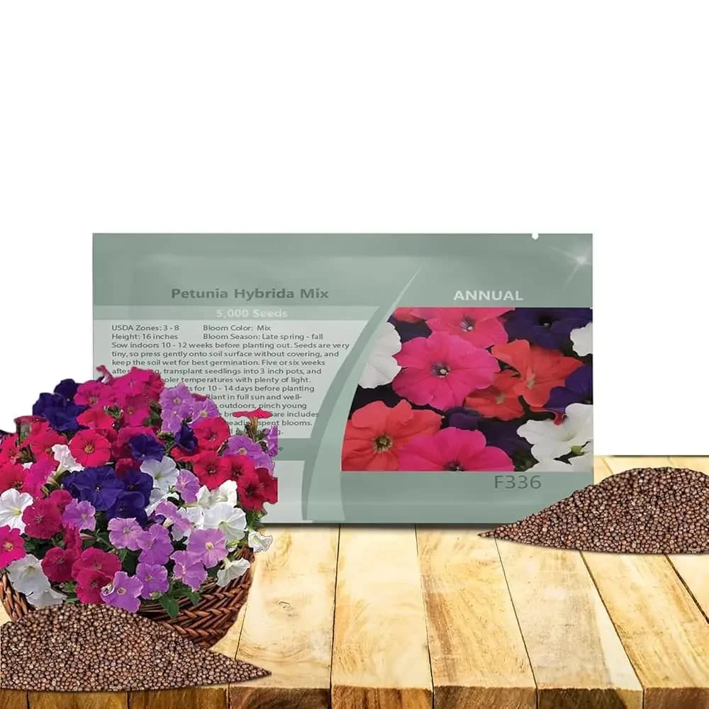 Semi di Petunia Ibrida Mista - 5000 Pezzi Semi di Fiori Annuali, Compatti e Versatili per la Semina di Fiori Bassi e Vibranti, Ideali
