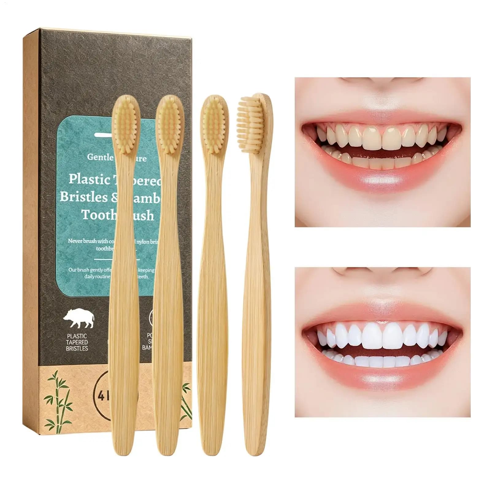 Multipack Toothbrush Set With Holder, Rounded Bristle Gum Care Deep Cleaning Brush Superficiall Dental Surface Conditioning Kit