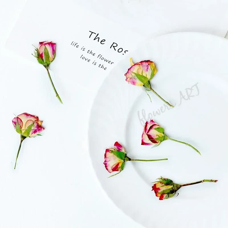 Pressed Rose Bud Flower Petals Dry Flower DIY Plant Photo Frame Handmade Epoxy Aromatherapy Bookmark Drip Glue Phone Case,12pcs