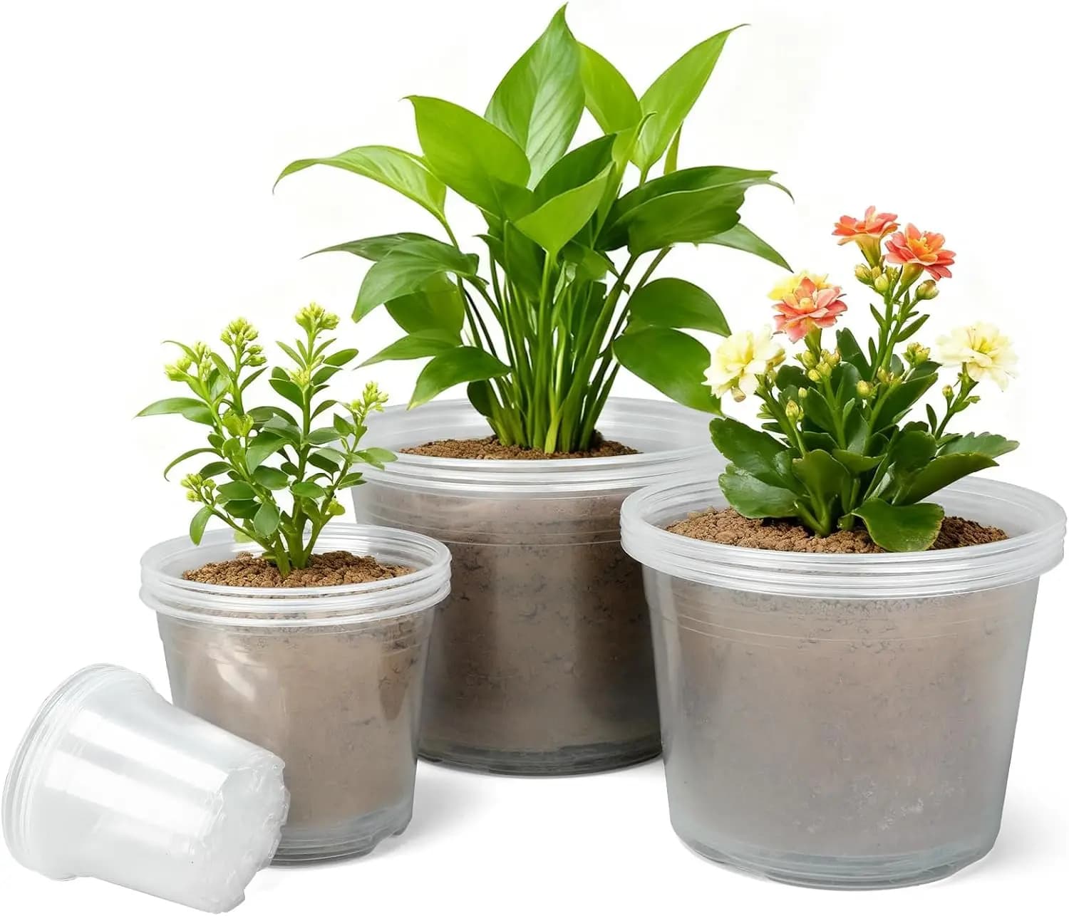 Vasi in Plastica Trasparente da 4/6/8/10 Pollici con Fori di Drenaggio, Confezione da 16 per Piante Succulente, Fiori ed Erbe