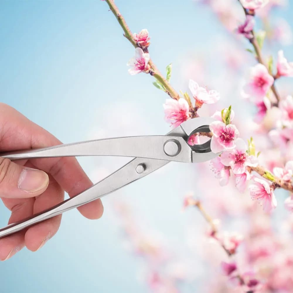 Professional Stainless Steel Branch Cutter Siliver Round Edge Bonsai Scissors Multifunctional Ergonomic Handle Pruning Shears