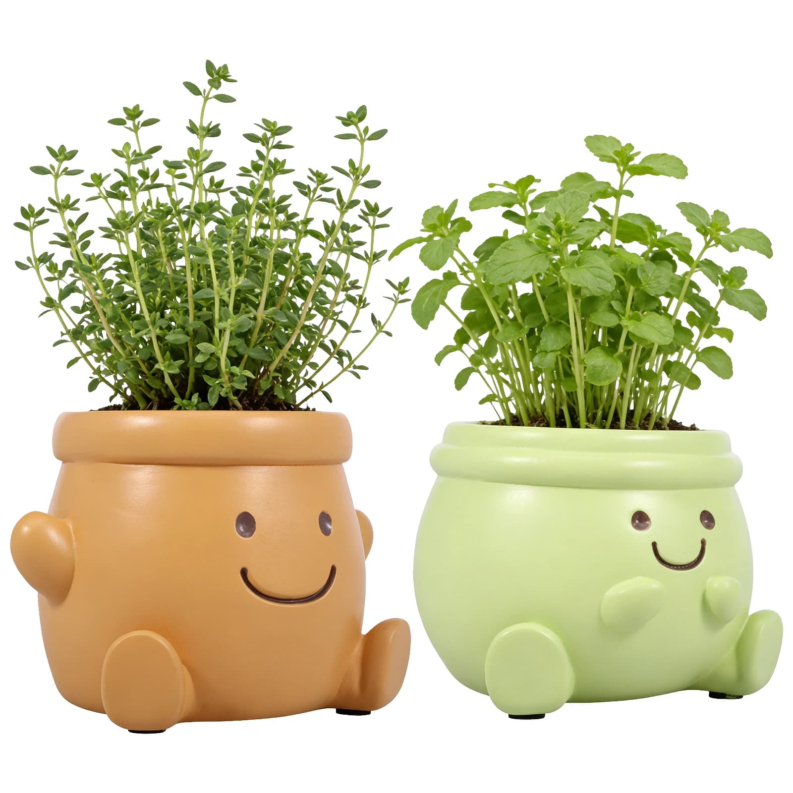 2 Pezzi Vaso per Piante a Forma di Faccina Sorridente, Mini Fioriera in Resina per Succulente e Cactus con Foro di Drenaggio, Vaso Decorativo da Giardino e Scrivania
