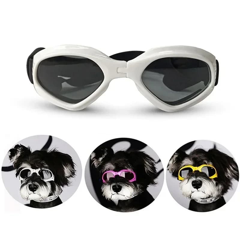 Occhiali da sole per cani da compagnia Occhiali da sole Occhiali per gatti Occhiali da vista Protezione per cuccioli Accessori per toelettatura Decorazione