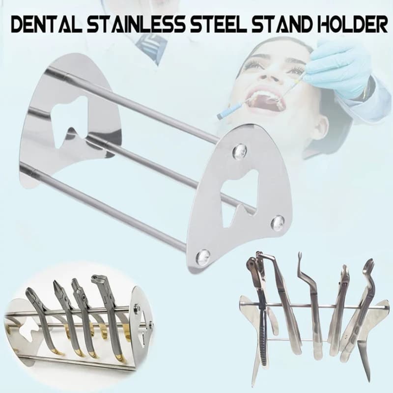 Pinze dentali in acciaio inossidabile Pinze Supporto Organizzare Forbici Pinze per estrazione dei denti Luogo Organizzare l'archiviazione Strumento per dentisti
