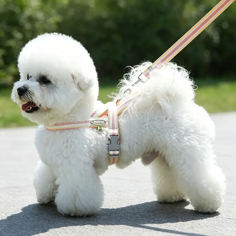 Dog Harness No Pull Saddle-Style Small Medium Dogs Walking No Choke Bichon Outdoor Safety Reflective Vest Pet Chest Harness