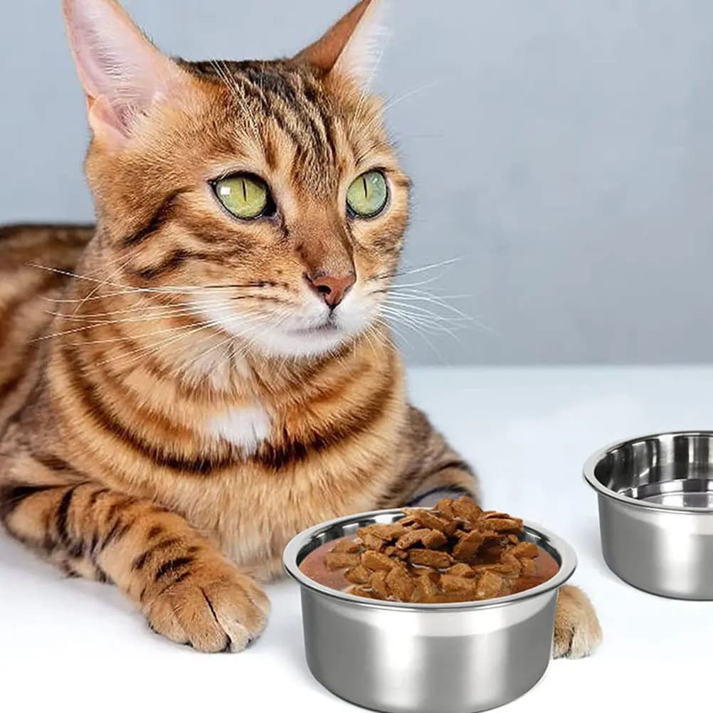 Ciotola rimovibile in acciaio inossidabile per cani e gatti, anti-ribaltamento, resistente all'usura, facile da pulire, durevole, da appendere, per cuccioli e gattini