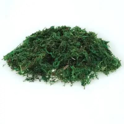 1 Confezione di Muschio Artificiale Realistico per Terrari, Bonsai, Piante in Vaso, Decorazioni Floreali, Giardino Interno e Paesaggistica Fatata